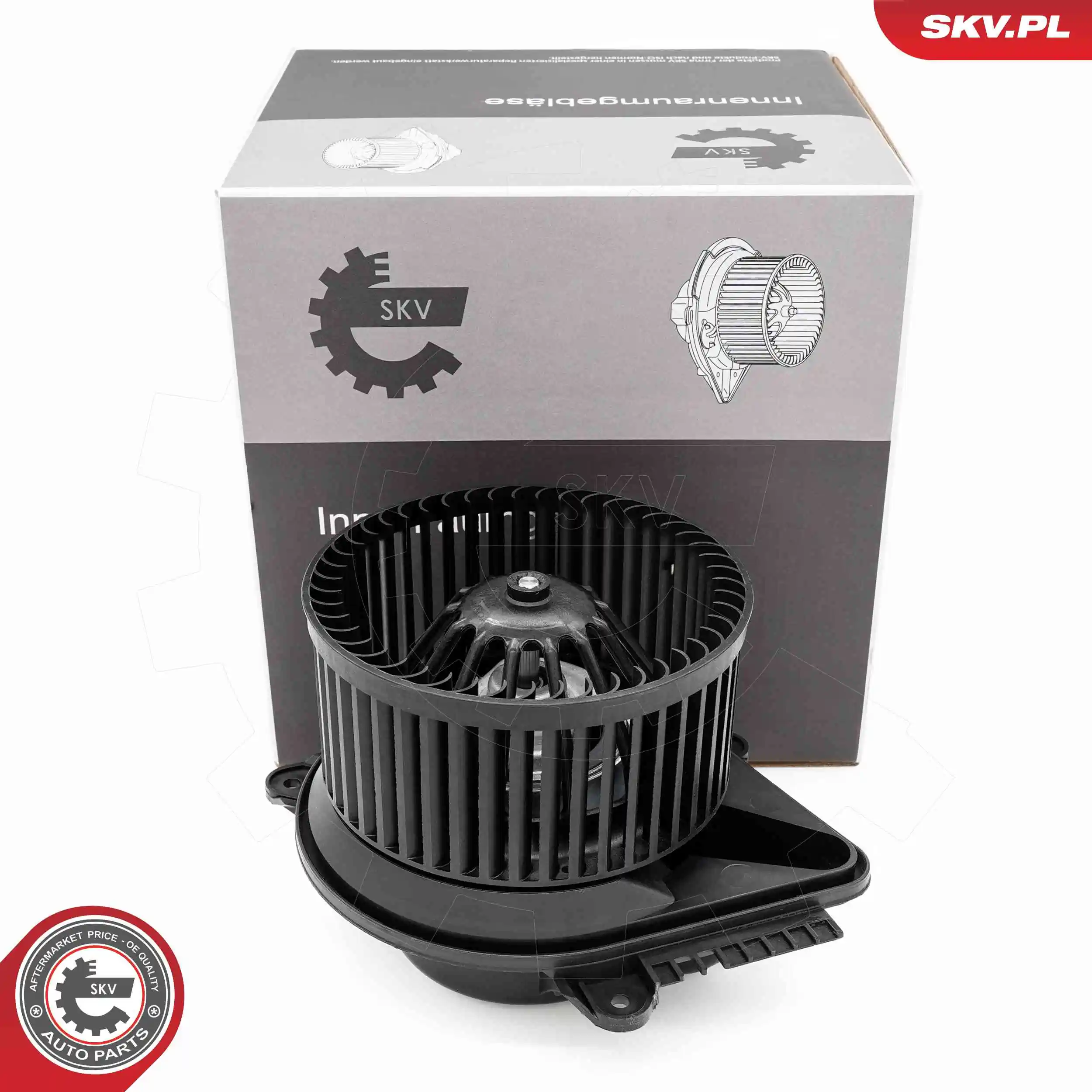 Interior Blower